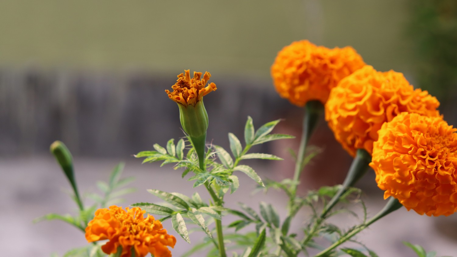 Fanuc-数控参数解释