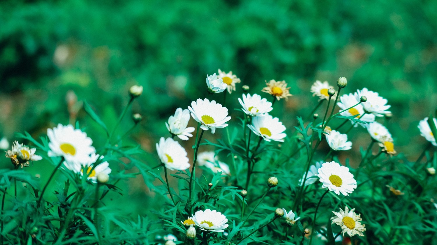 F12在调试程序中暂停 解决方法