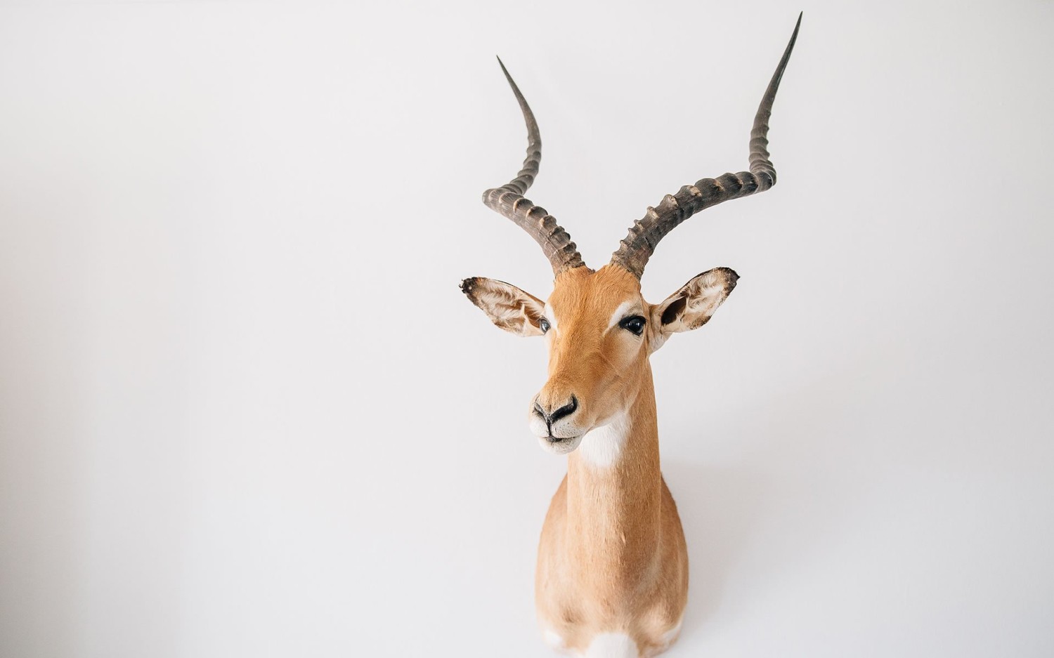 Windows Server 2022自动登录设置