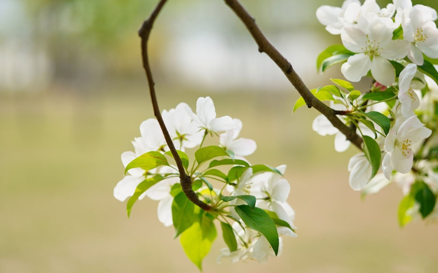 搭建个人防盗链图床