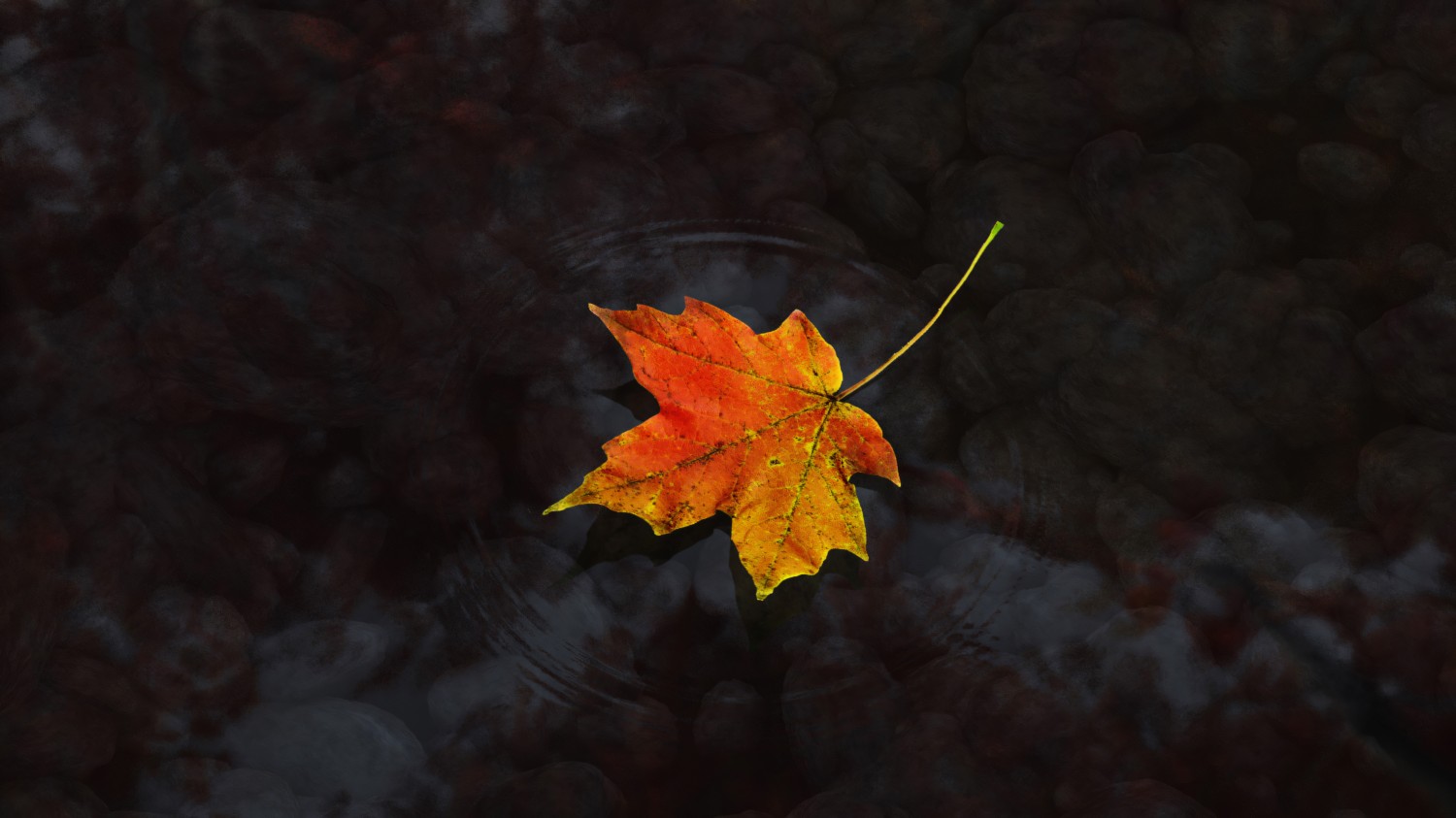 写了两个随机生成图片的Api代码