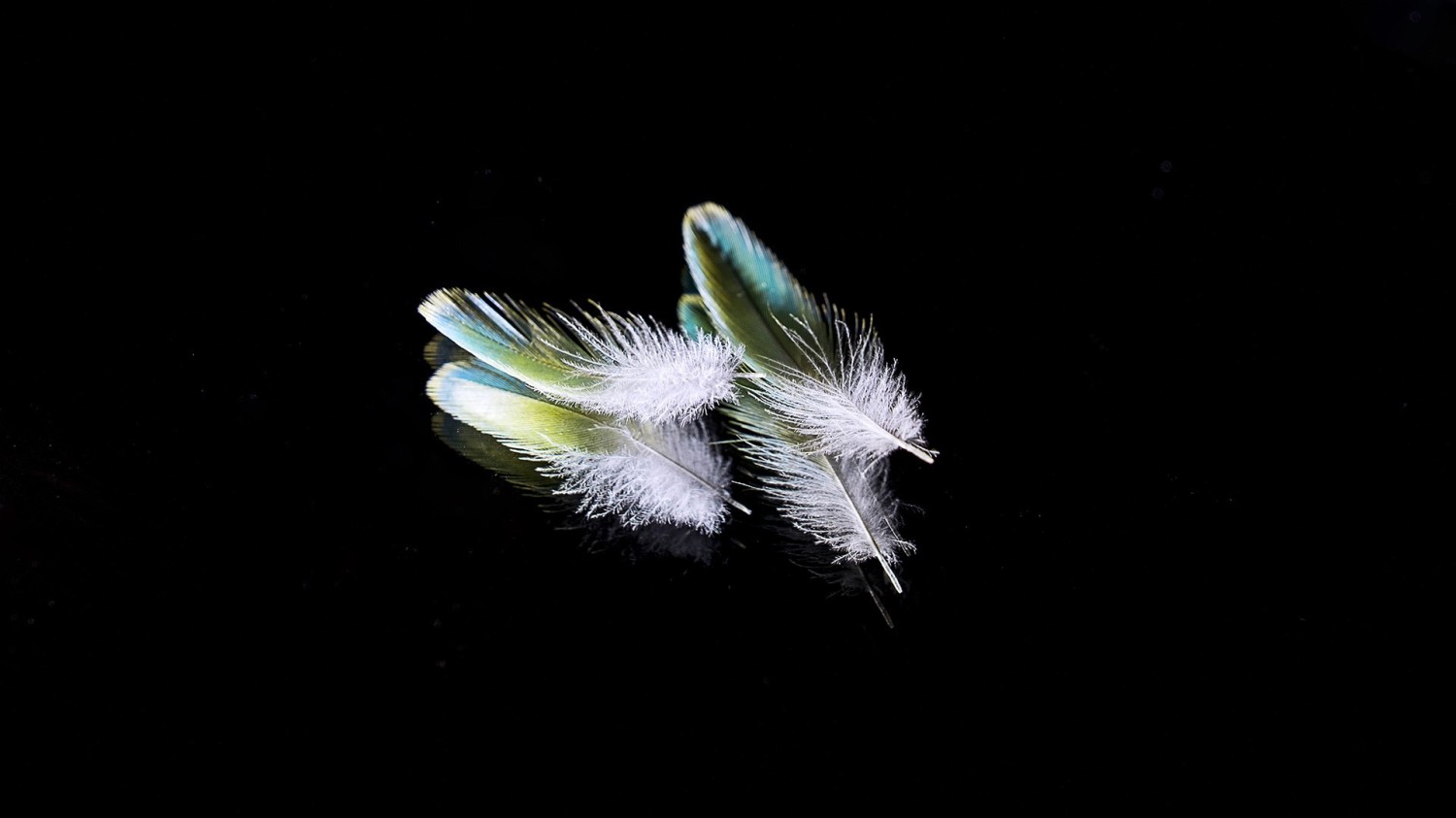 写了两个随机小姐姐视频的Api代码