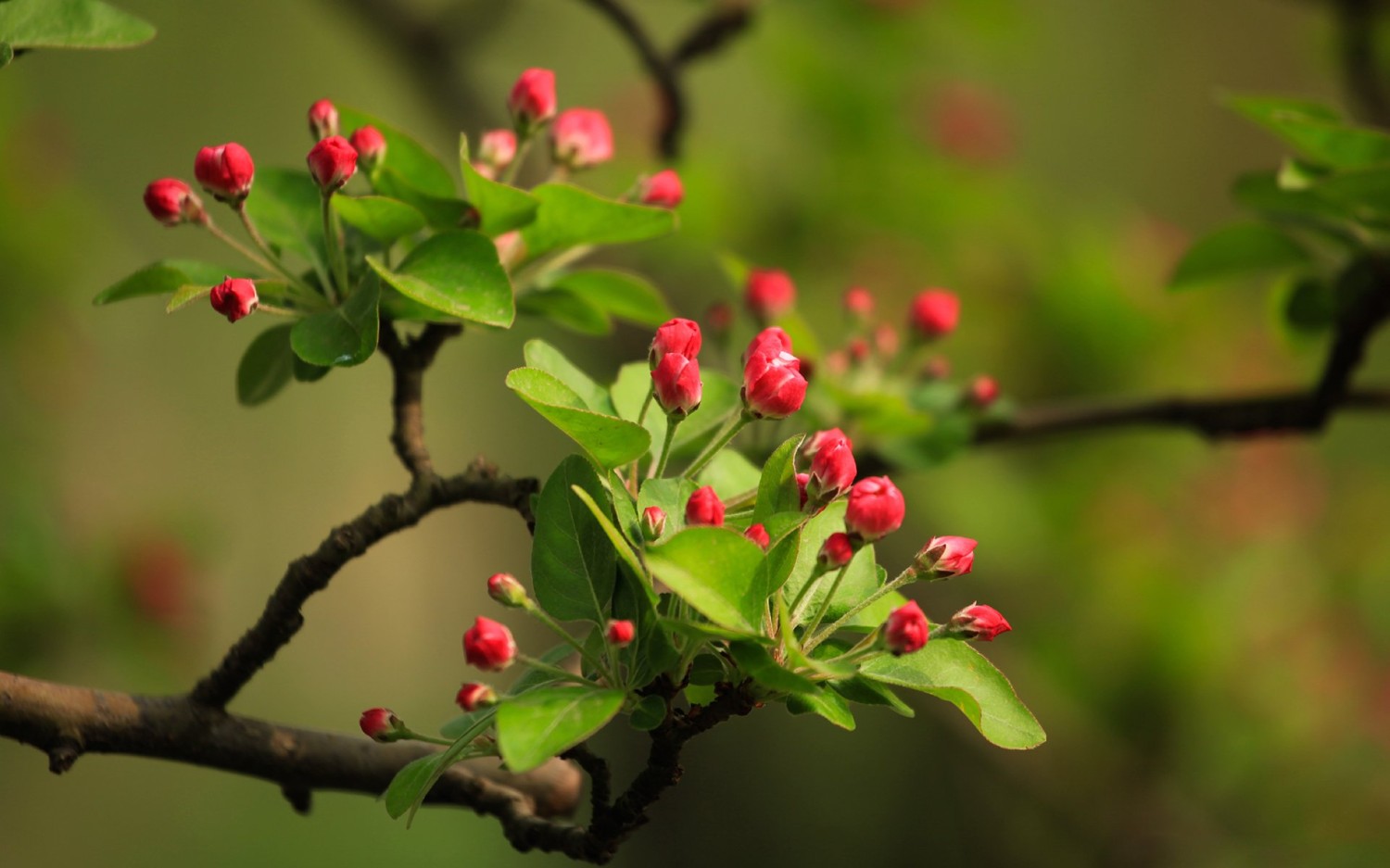 HTML5版本3D电子相册