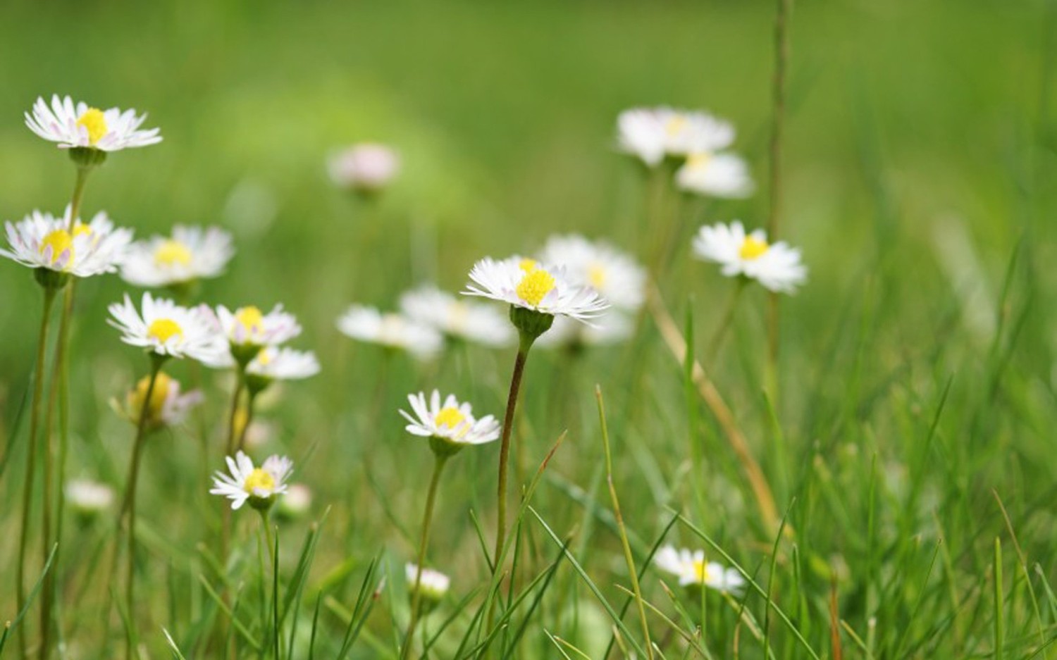 简易文件夹手动加密