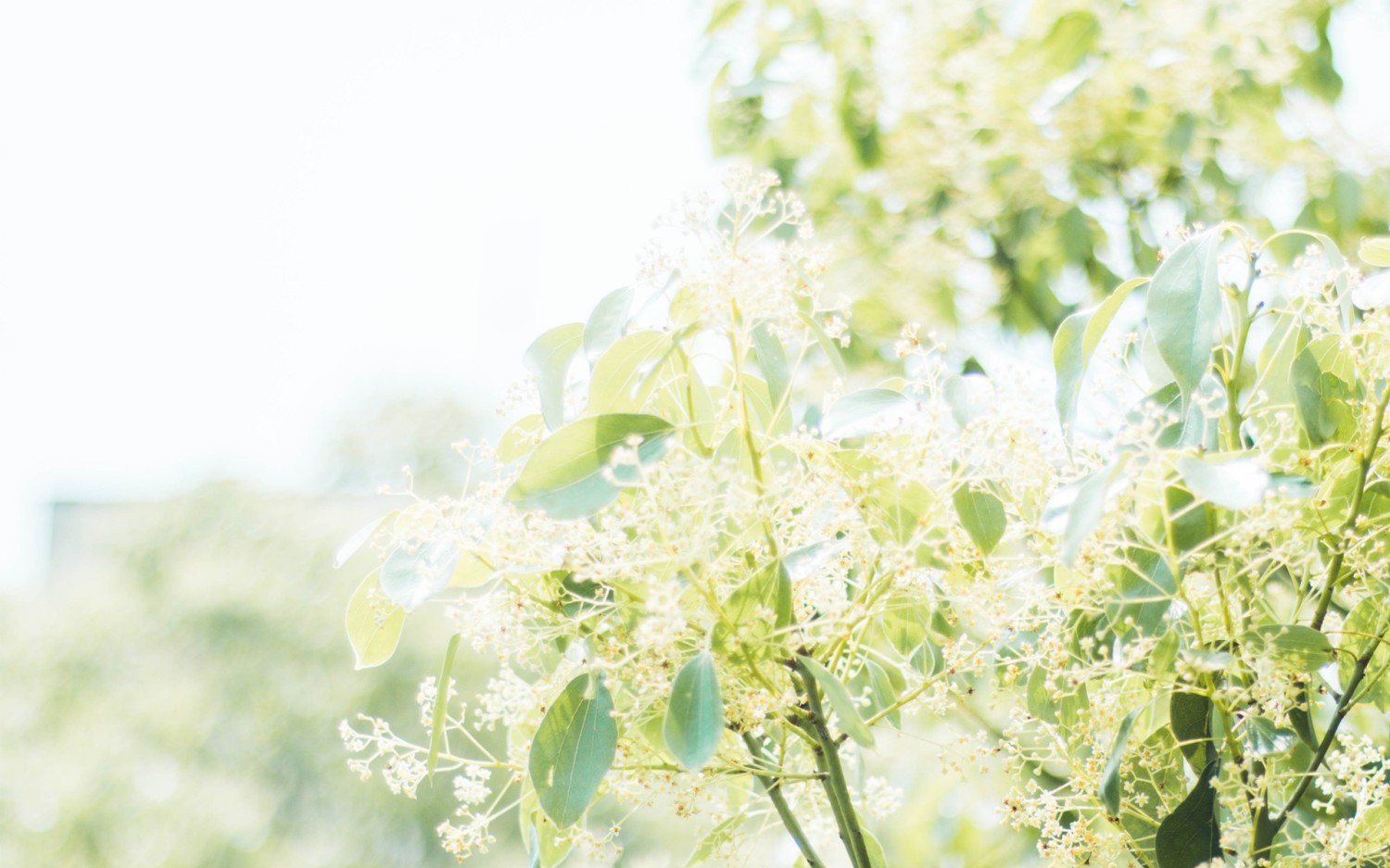 开源简易站点统计2.0