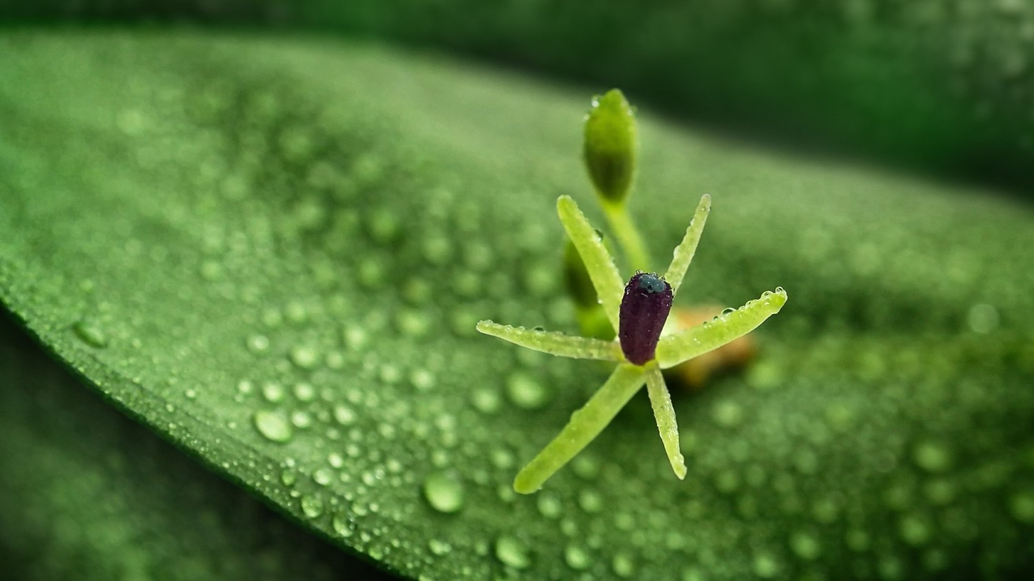 打开TXT，解决，改变读取编码