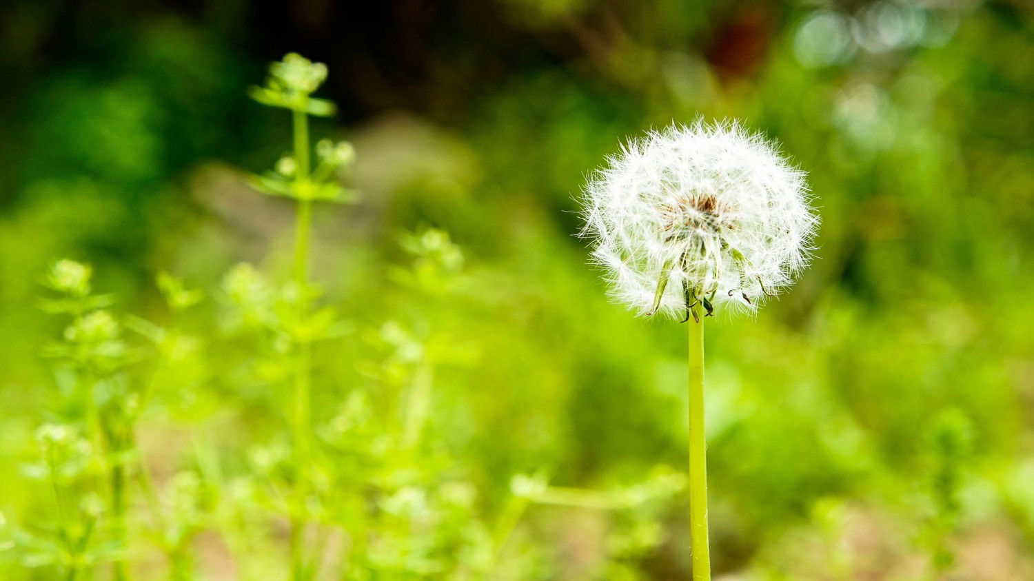 Volumill 安装方法