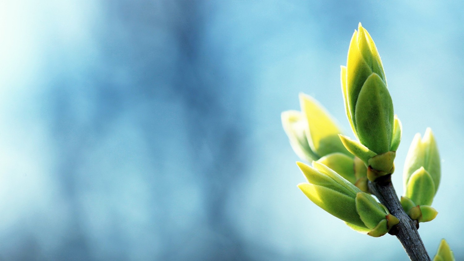 开源简易站点统计2.0