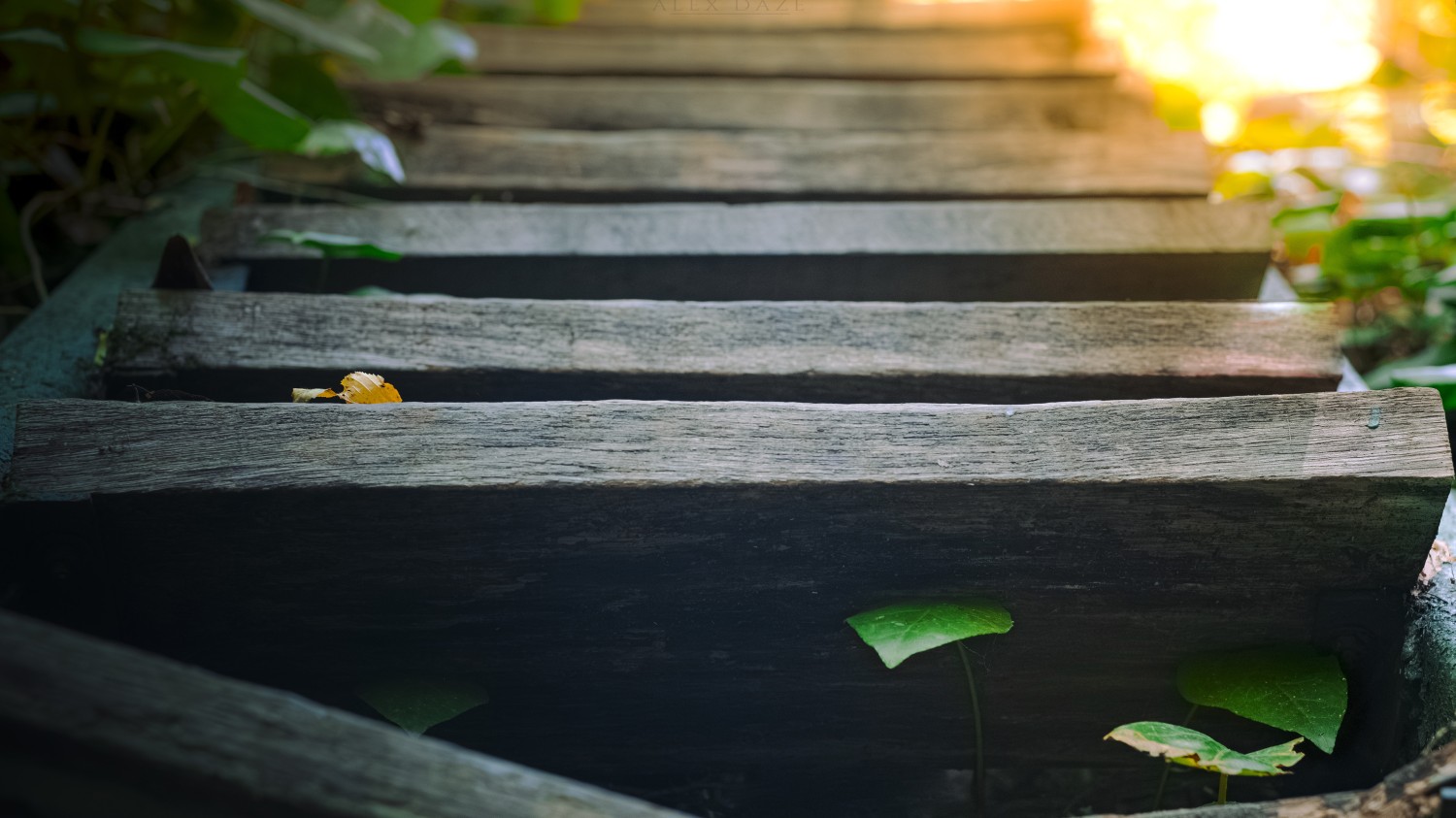 开源简易站点统计2.0