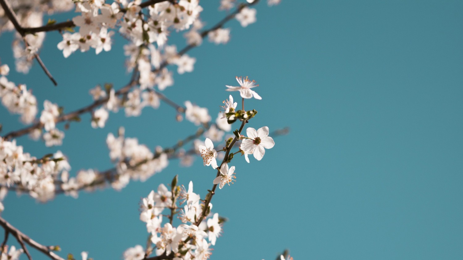 开源简易站点统计2.0