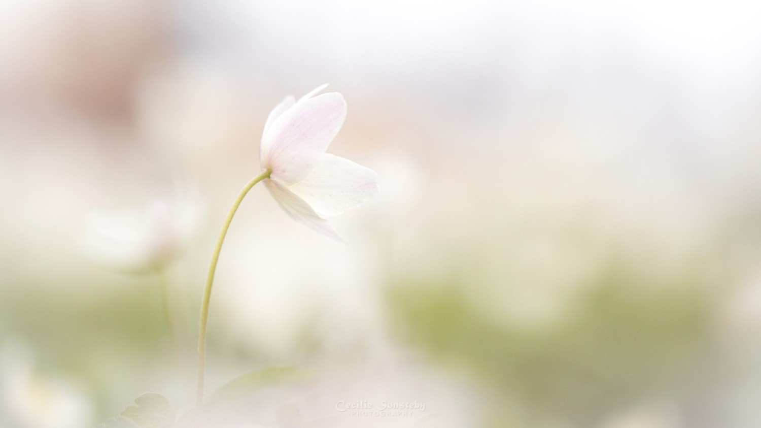 搭建个人防盗链图床