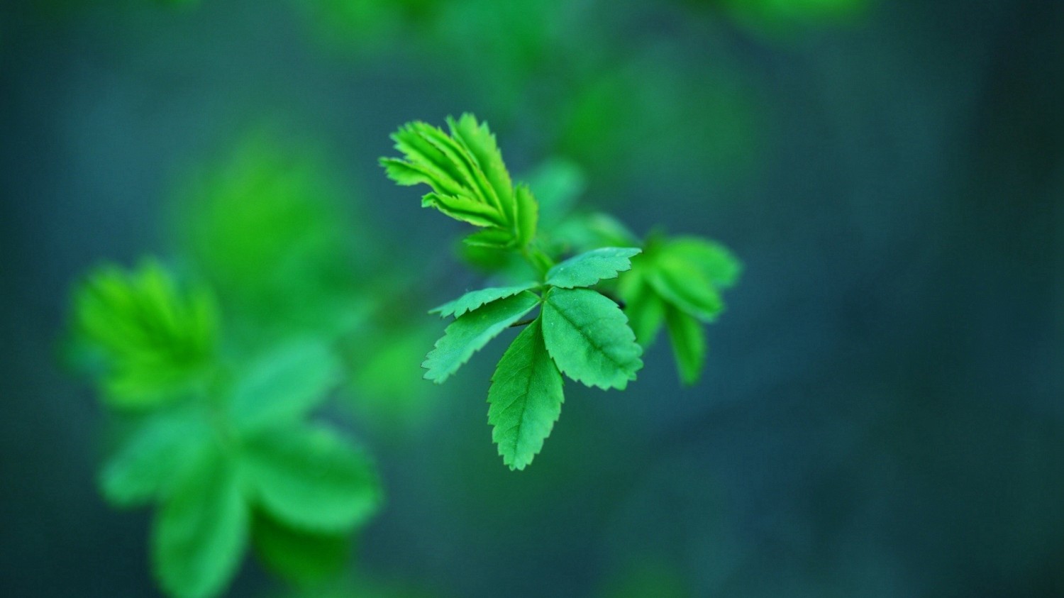 Fanuc-数控参数解释