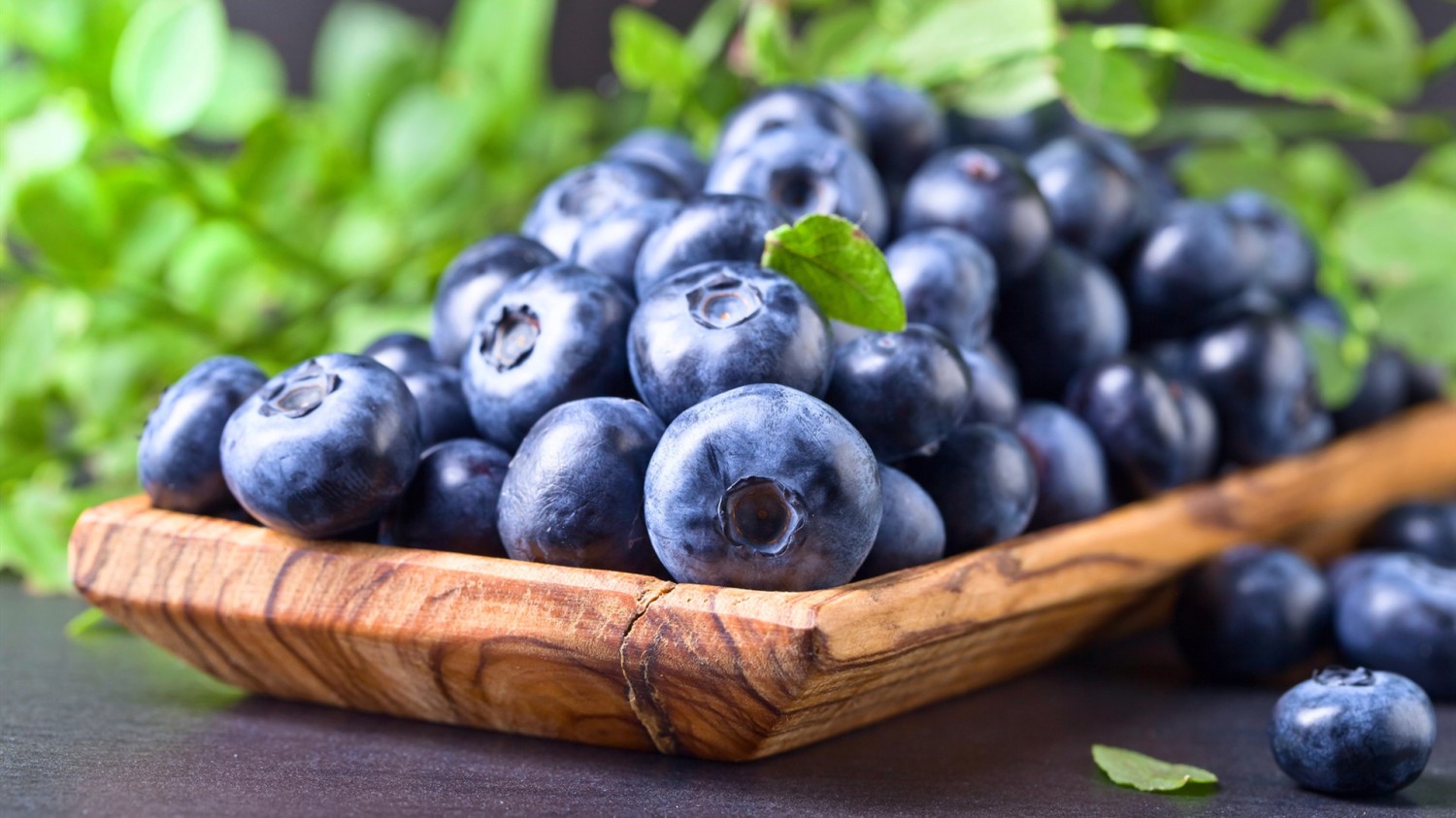 使用cmd命令查、修、删、文件 目录