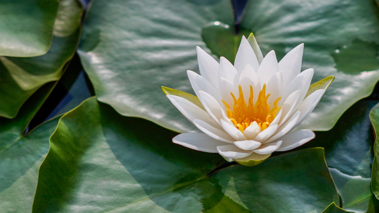 开源简易站点统计2.0