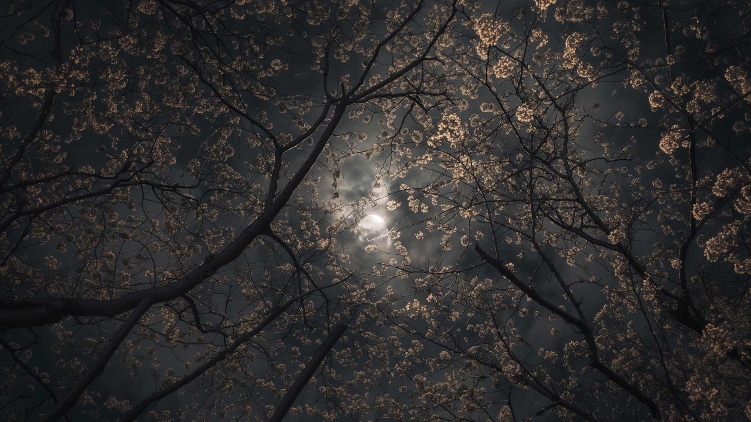 本地搭建网站IP访问统计