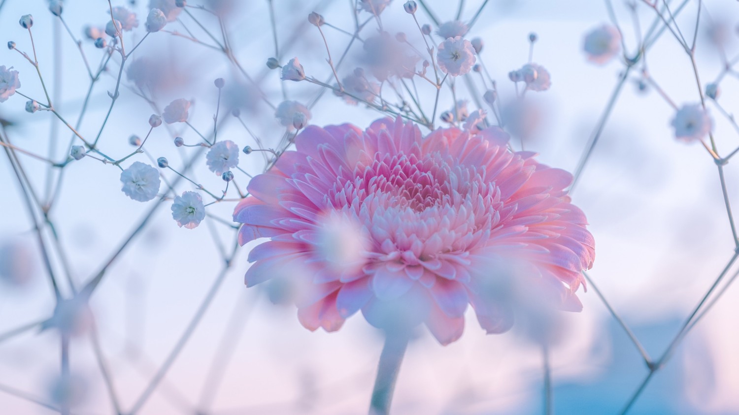 打开TXT，解决，改变读取编码