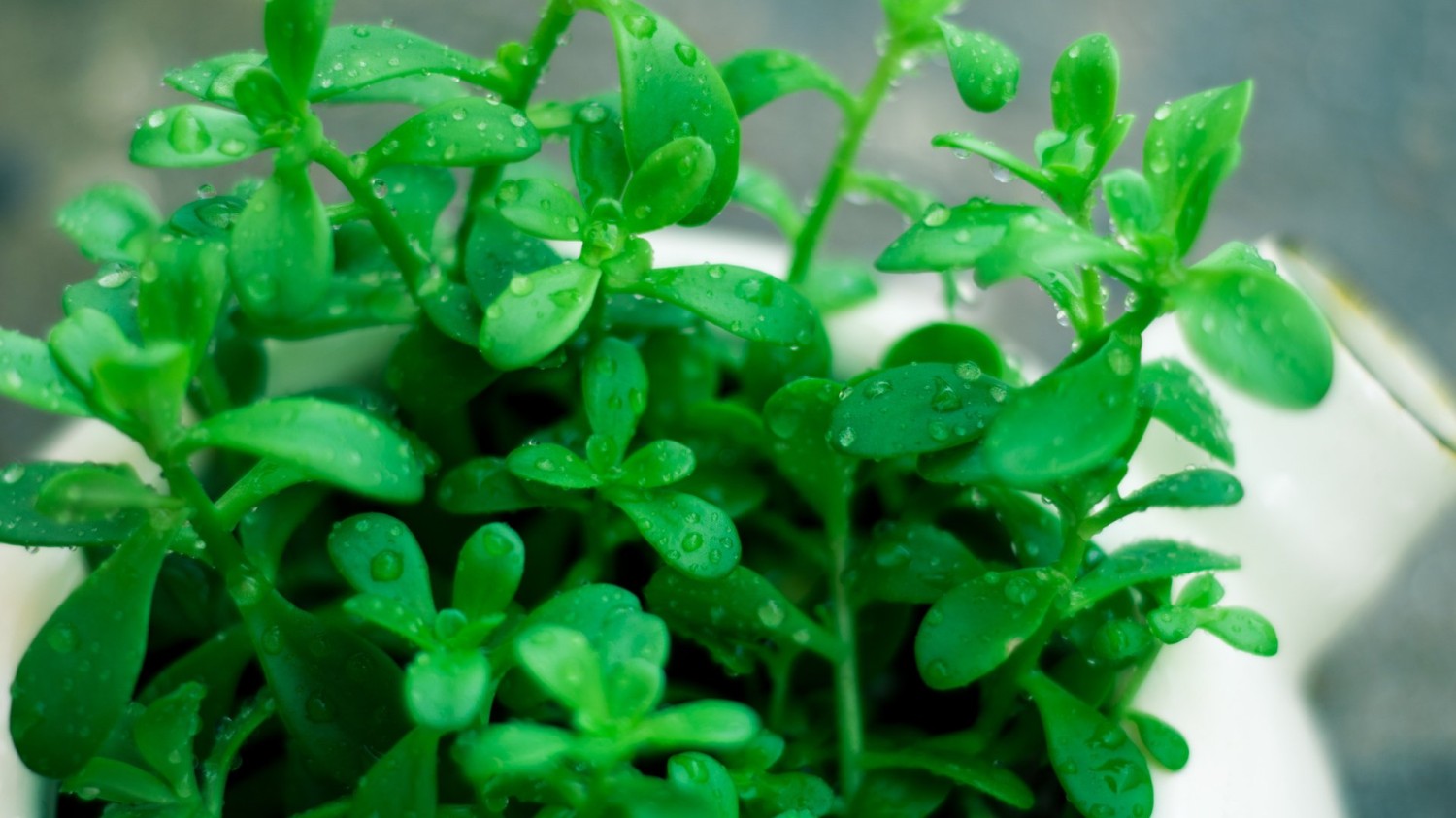 HTML5版本3D电子相册