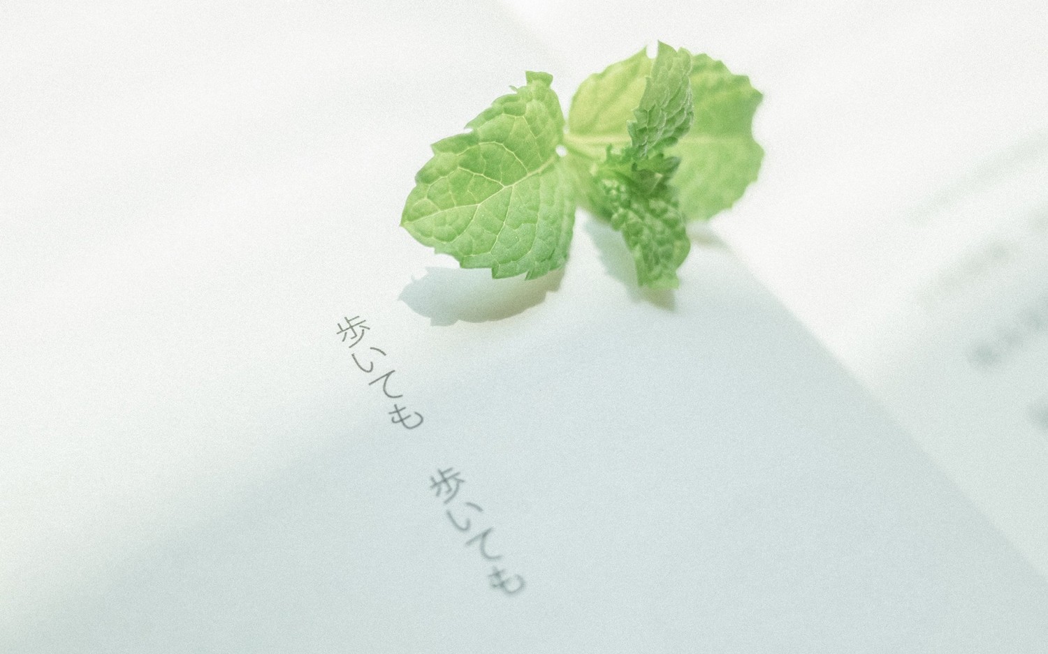 本地搭建网站IP访问统计