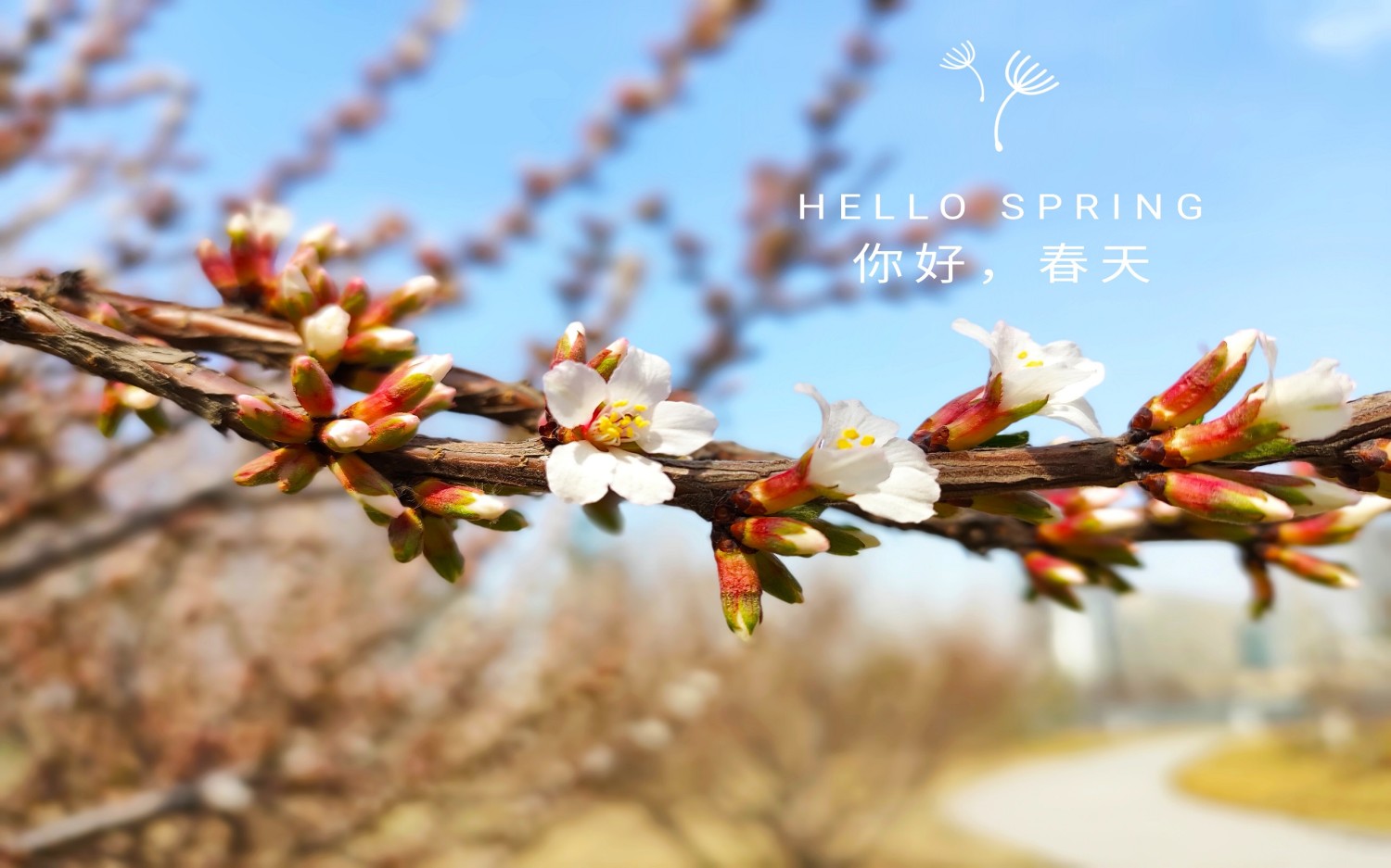 本地搭建网站IP访问统计