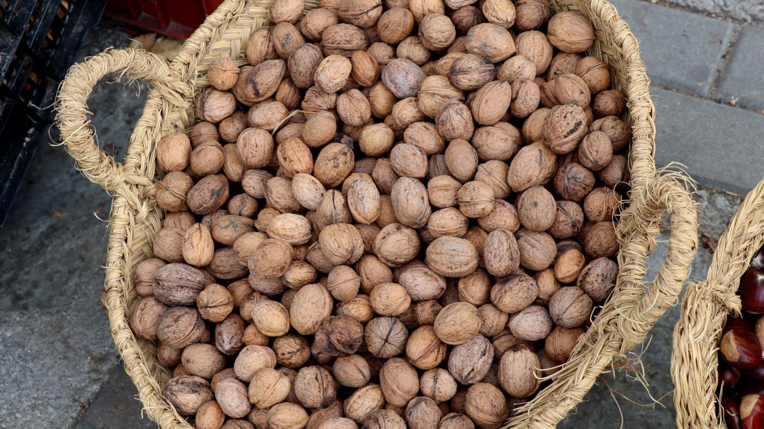 开源分享一个基于Php写的短网址小程序