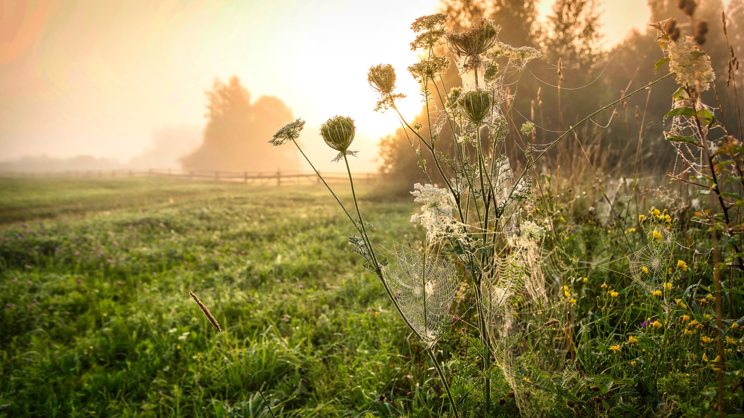 搭建个人防盗链图床