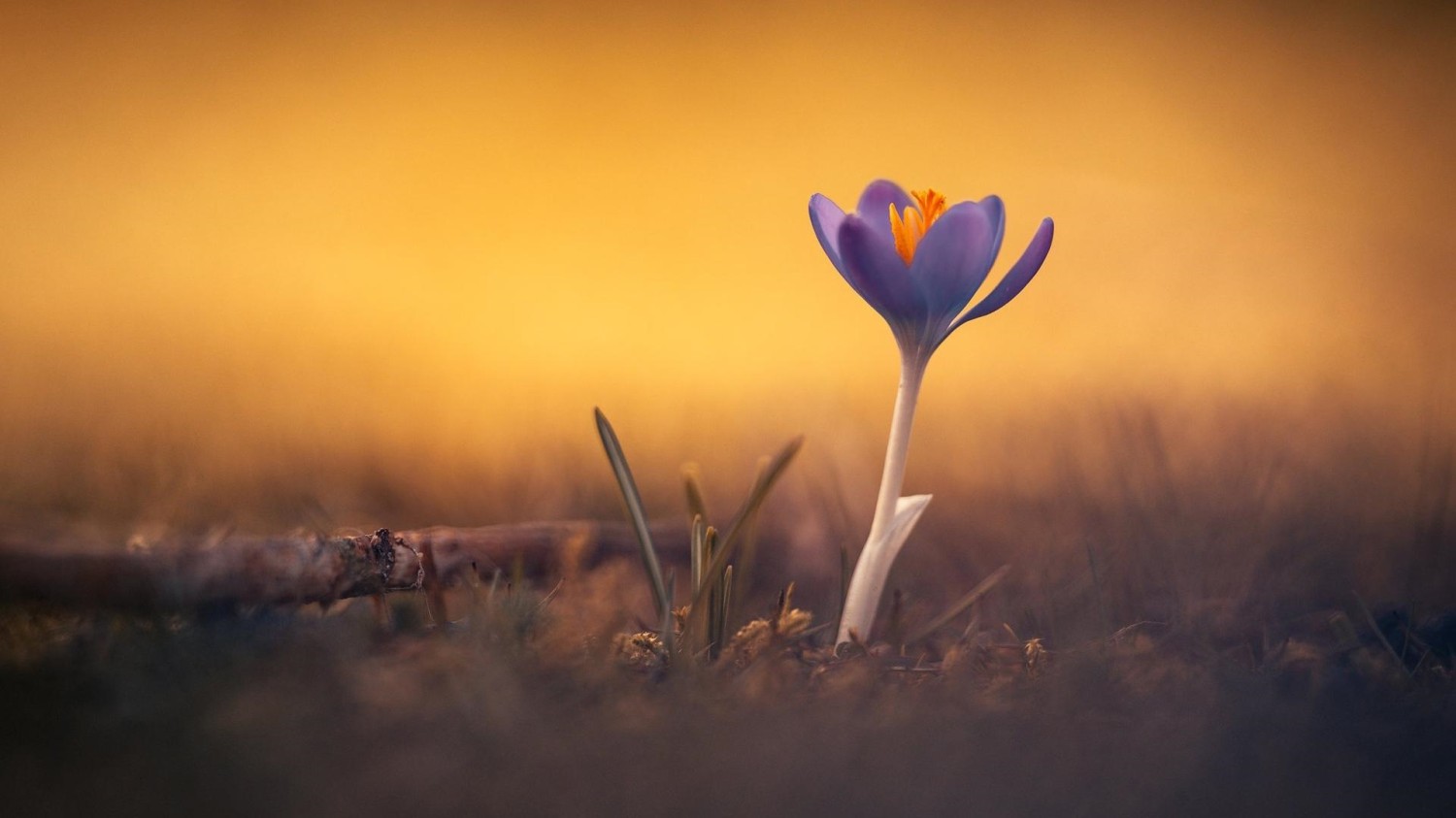 Volumill 安装方法