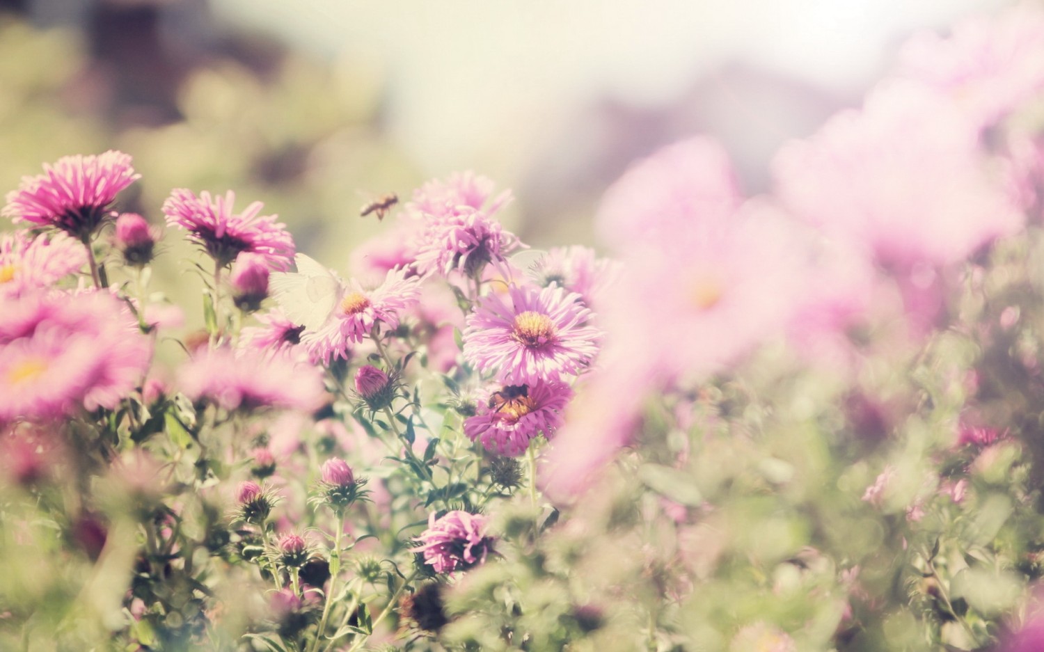 本地搭建网站IP访问统计