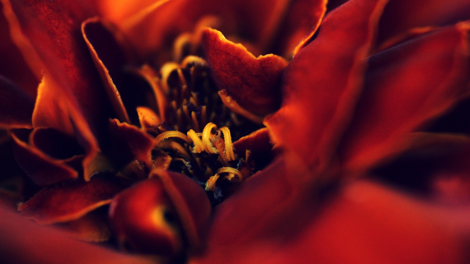 搭建个人防盗链图床