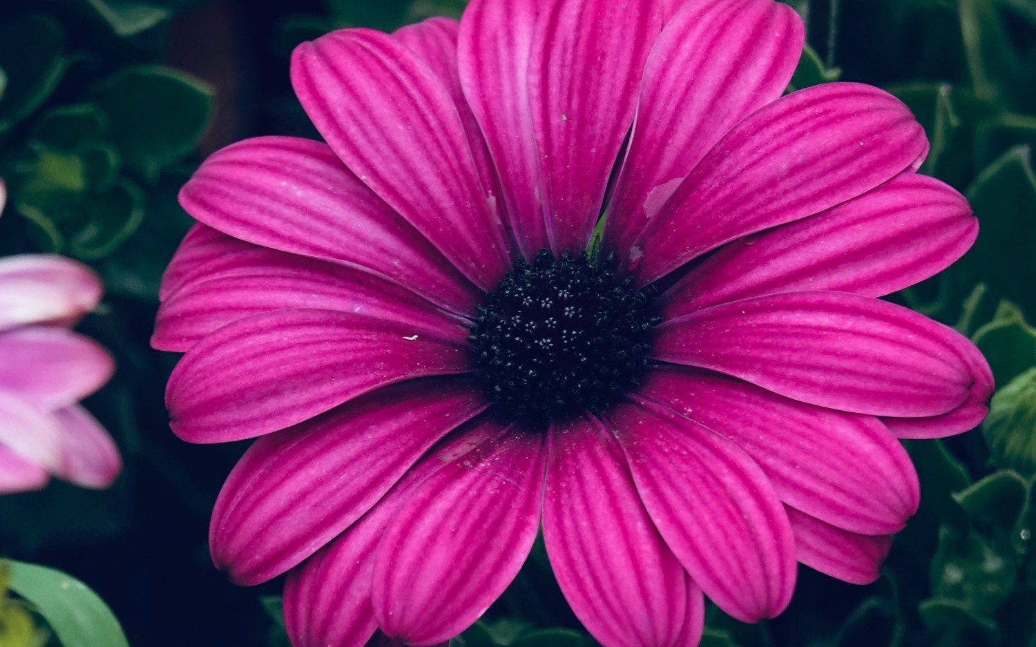 搭建个人防盗链图床