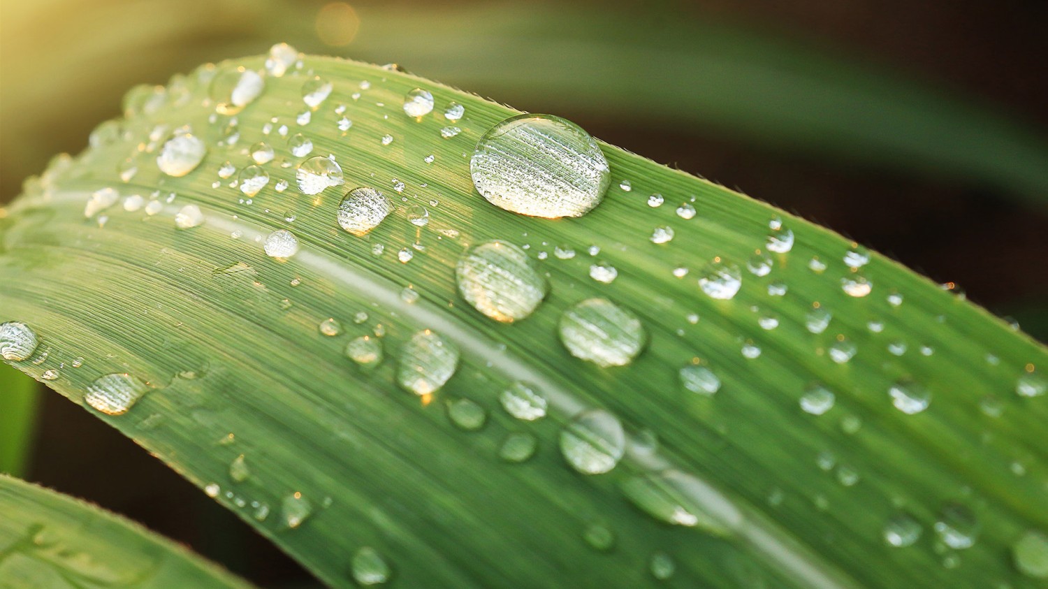 开源简易站点统计2.0