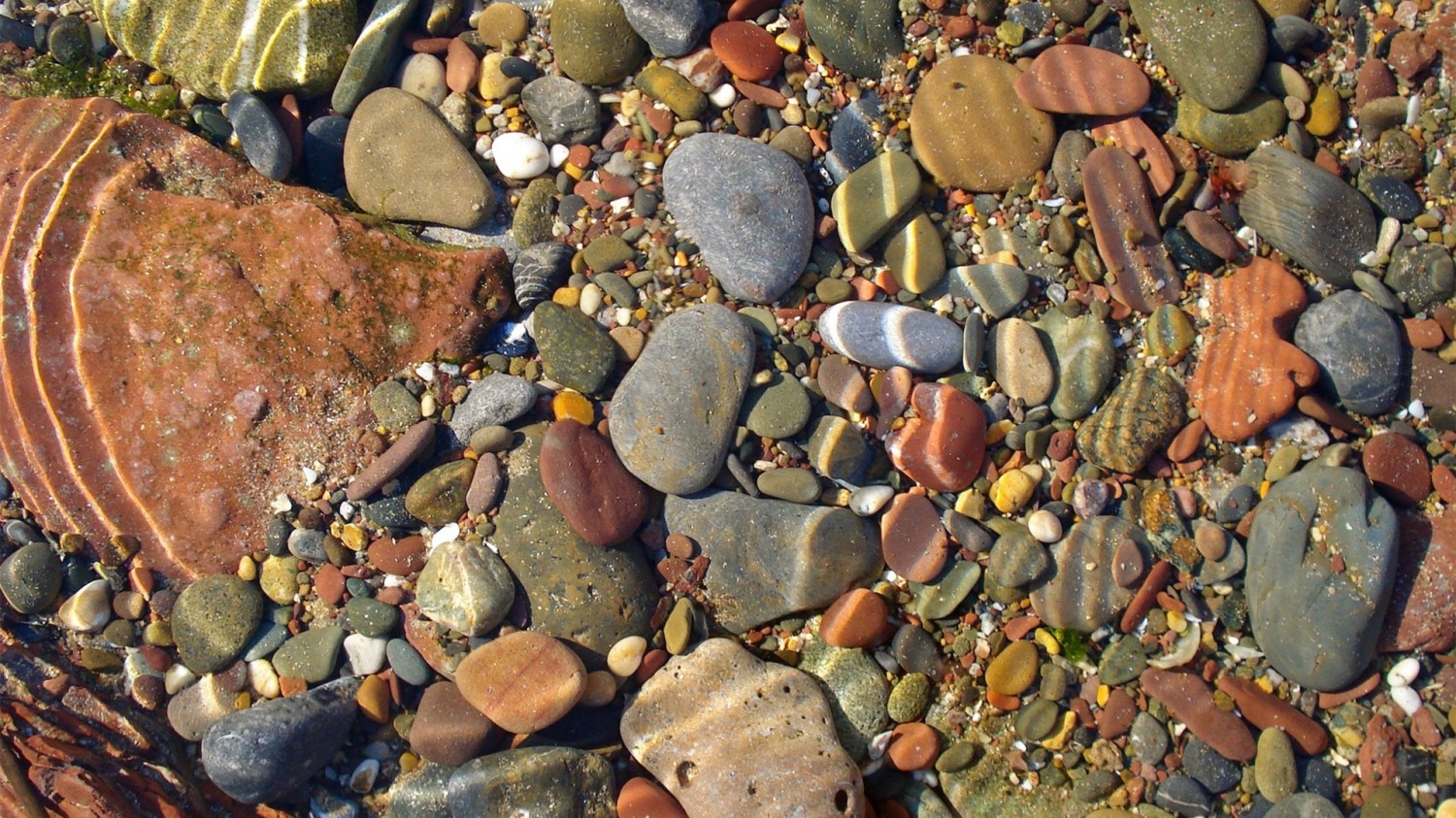 写了两个随机小姐姐视频的Api代码