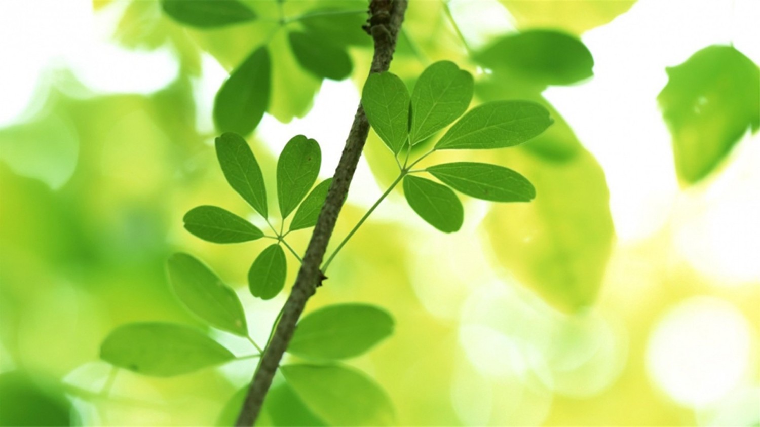 防止文章附件被盗链，单文件解决方法