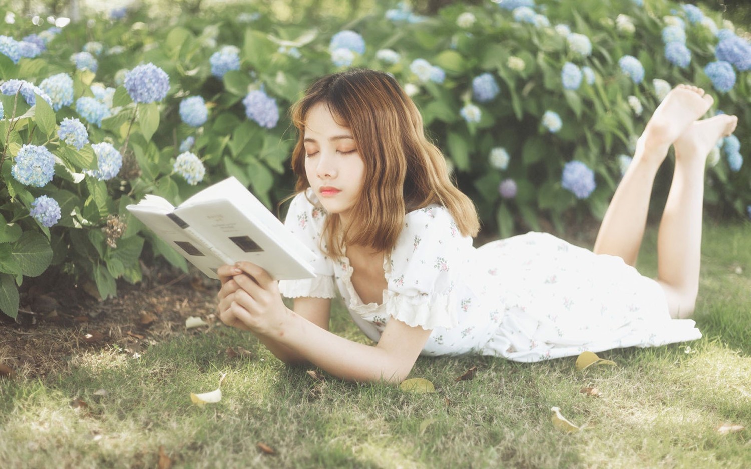 开源简易站点统计2.0