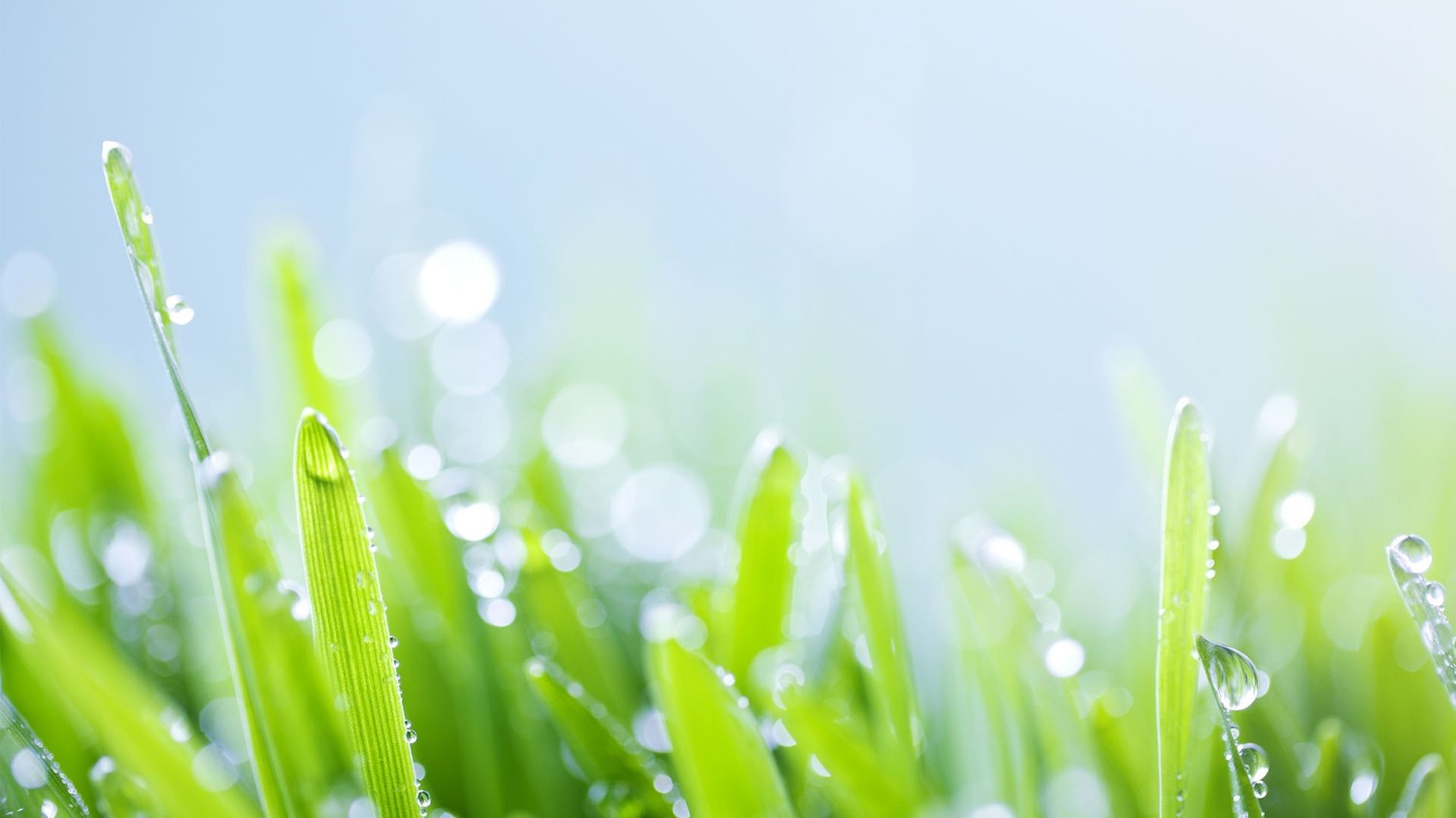 页面链接全部使用新窗口打开