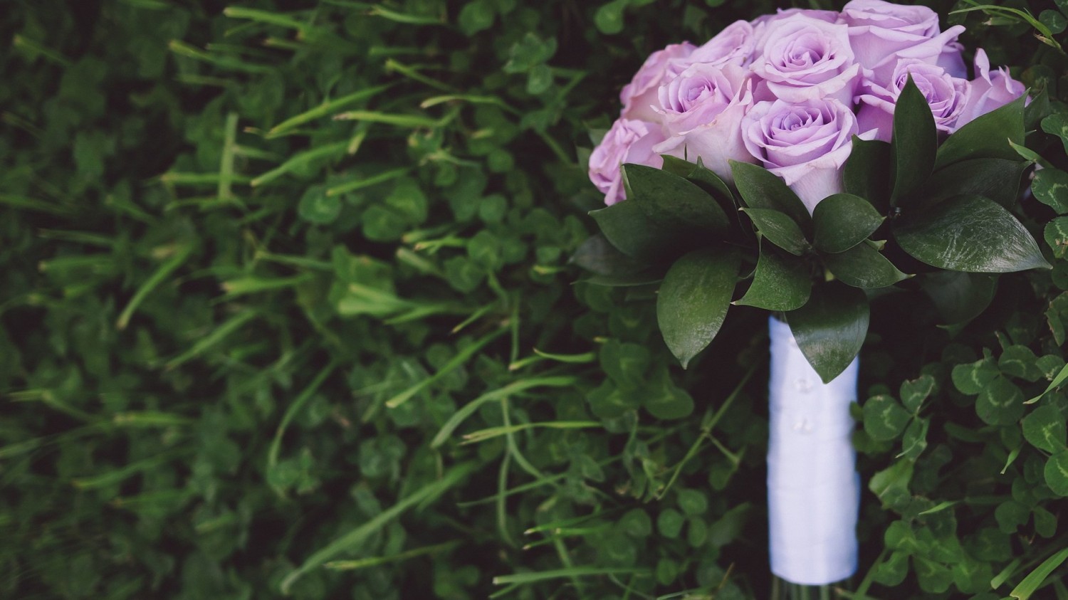 server 2012 2019 2022 没有预览图片