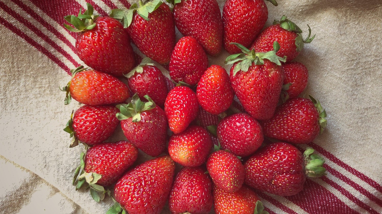 群晖常见第三方套件源