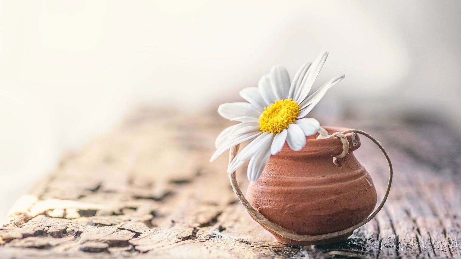 搭建个人防盗链图床