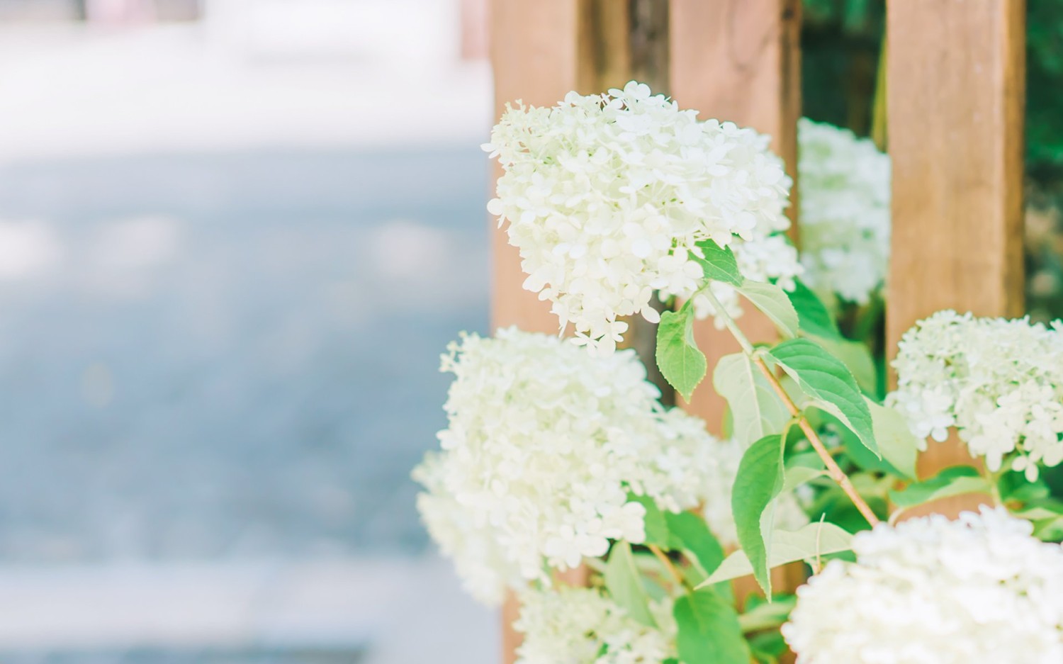 本地搭建网站IP访问统计