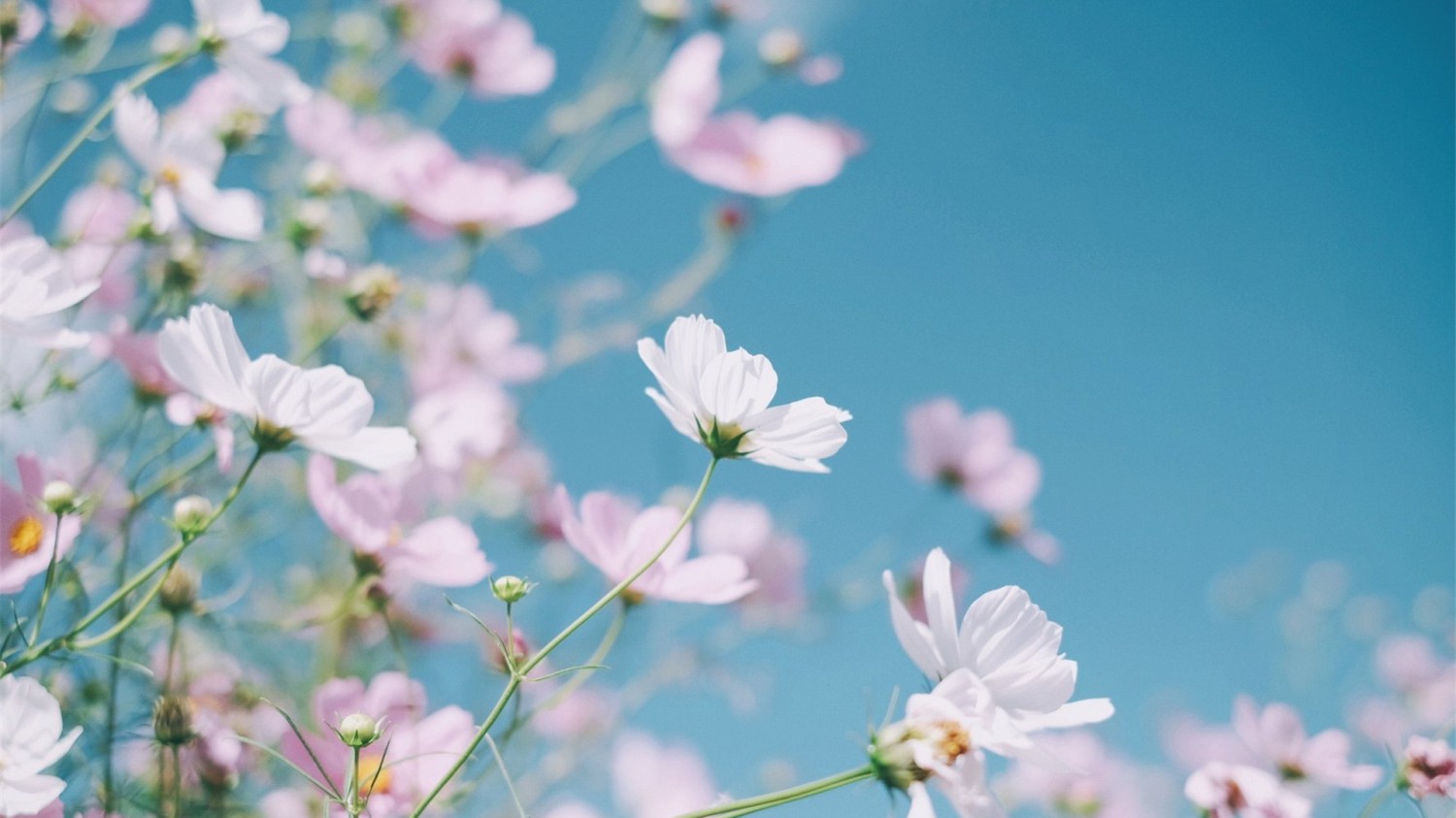 防止文章附件被盗链，单文件解决方法