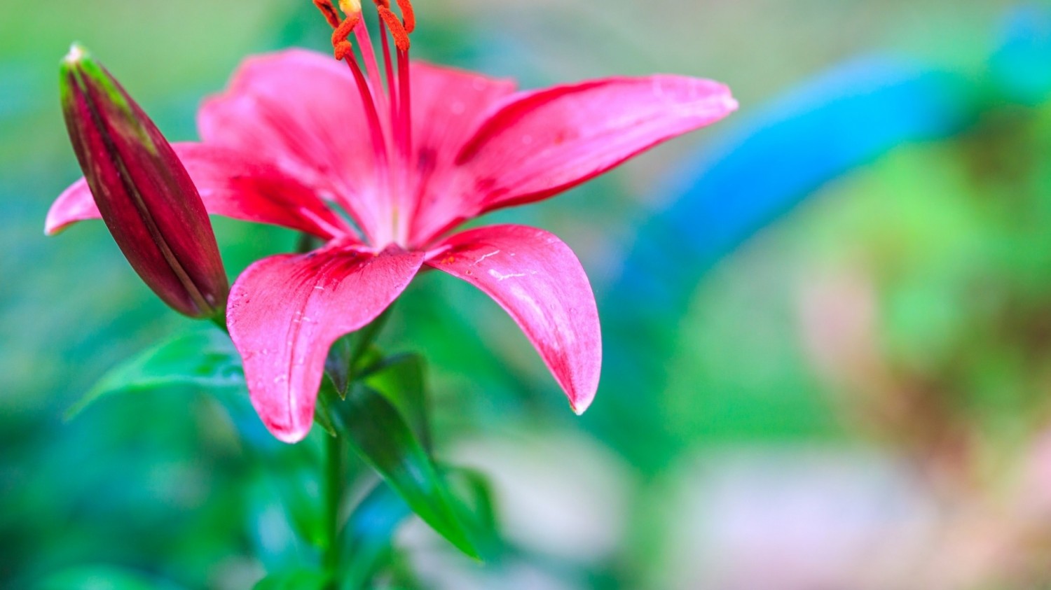 本地搭建网站IP访问统计