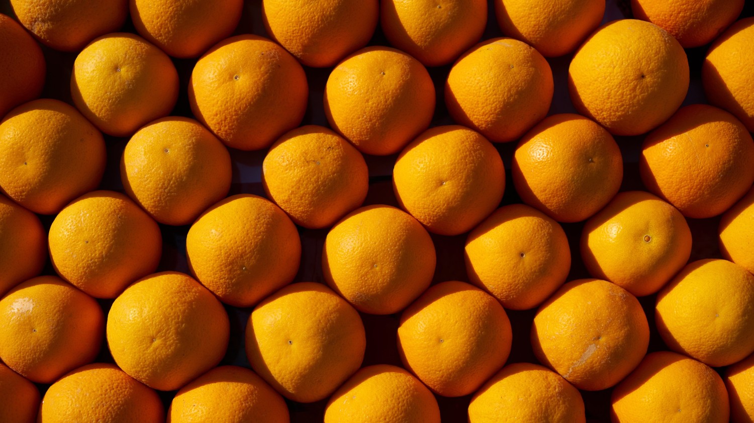 本地搭建网站IP访问统计