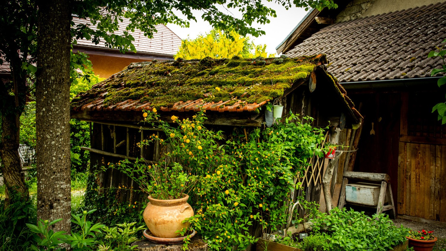 Windows Server 设置使用照片查看器查看图片的设置方法