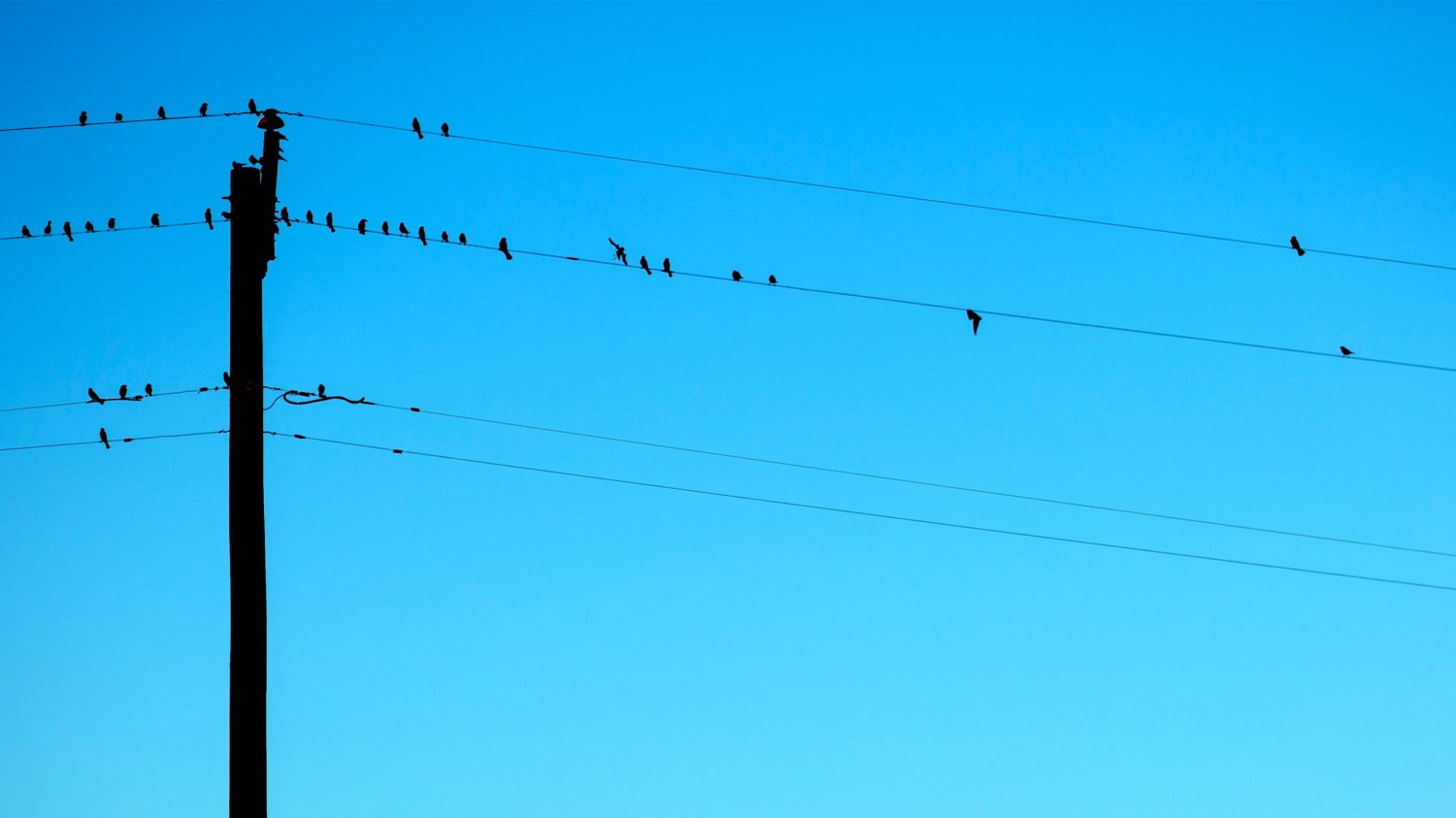 开源简易站点统计2.0