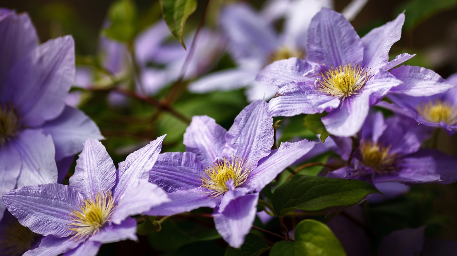 开源简易站点统计2.0