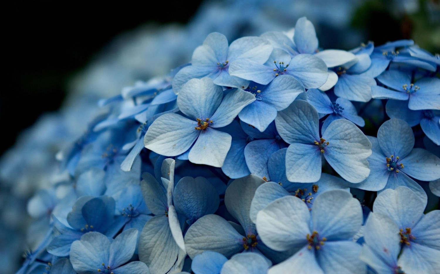 Windows Server 2022自动登录设置