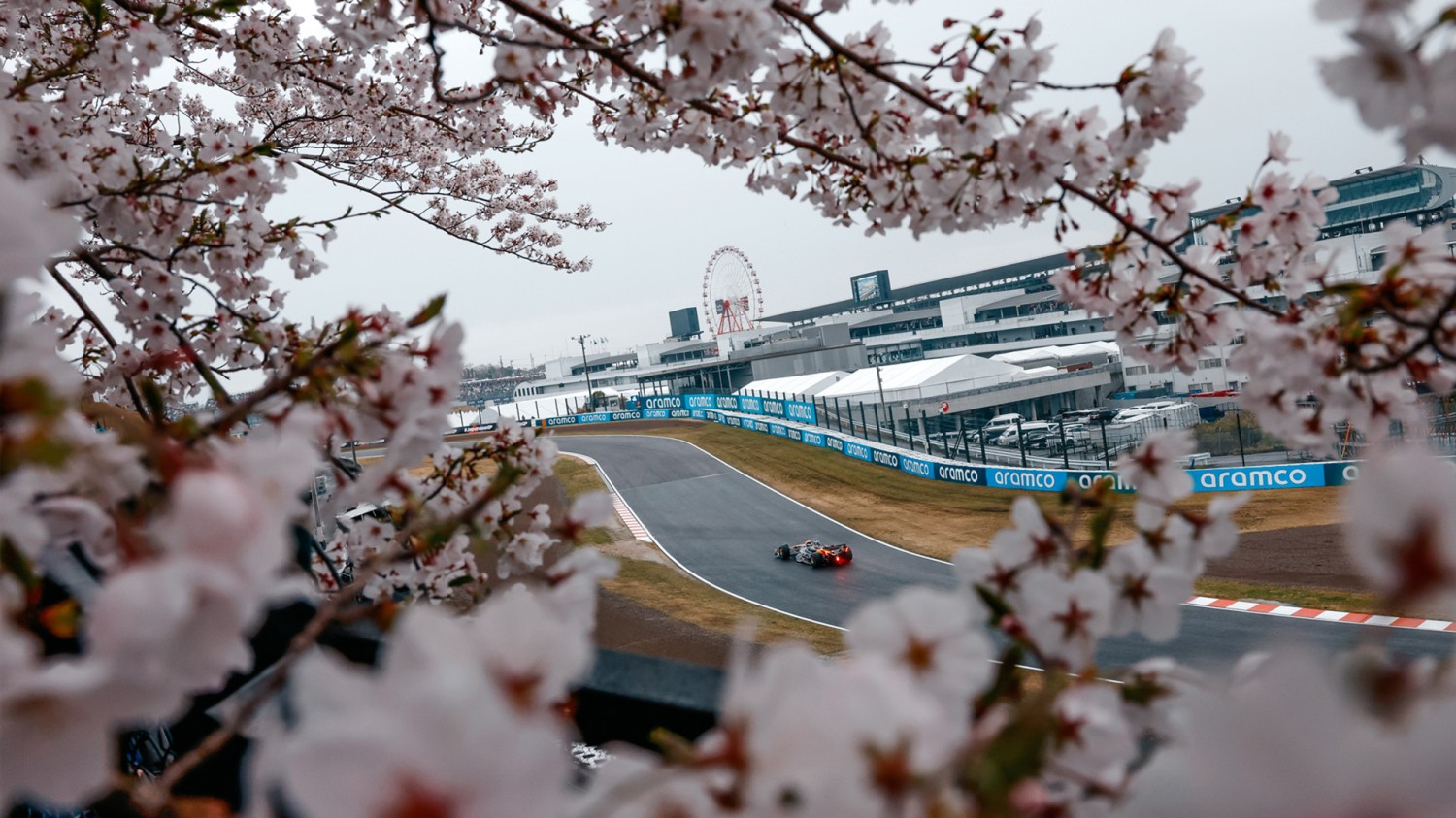 本地搭建网站IP访问统计