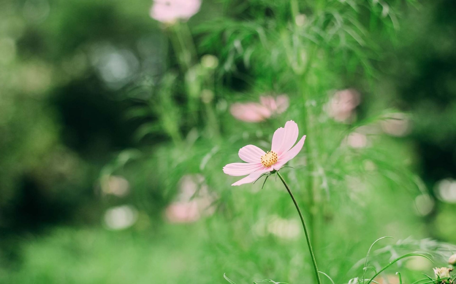 本地搭建网站IP访问统计