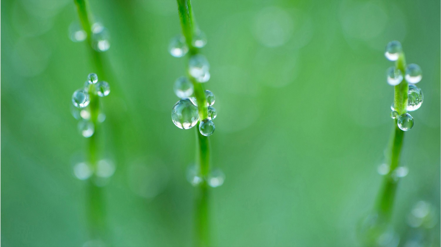 HTML5版本3D电子相册