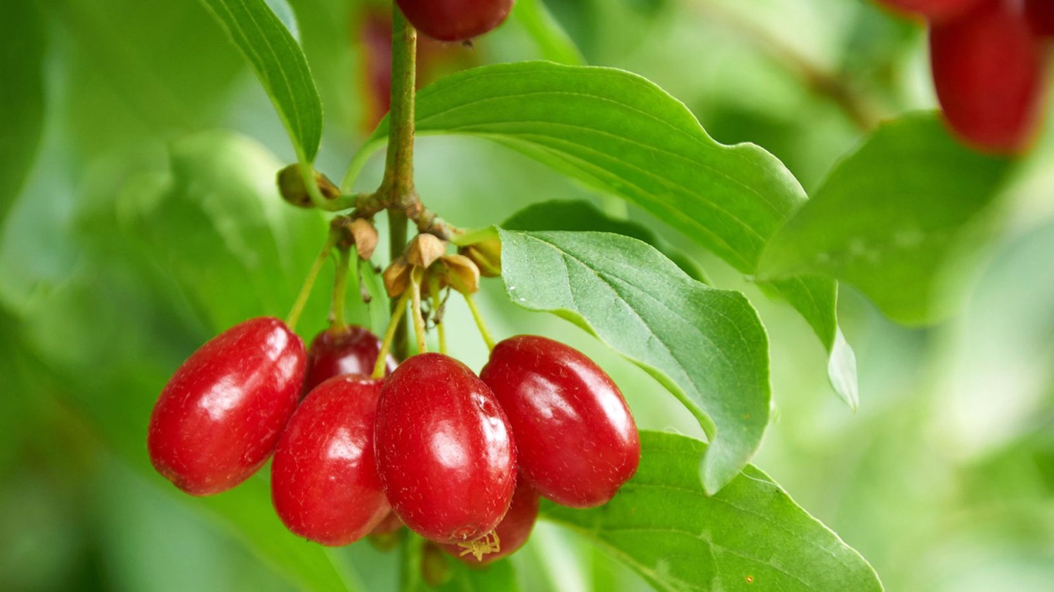 开源简易站点统计2.0