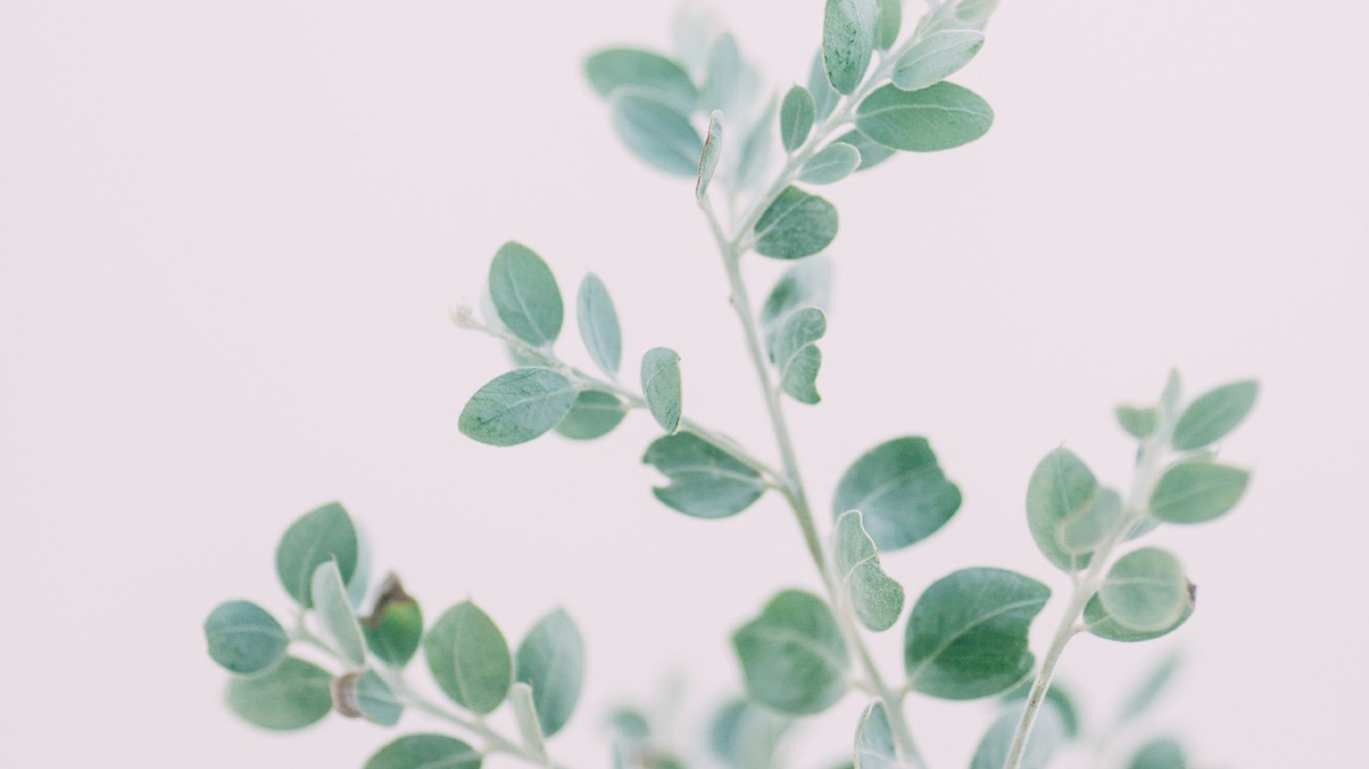 一个简易版正则字符生成器